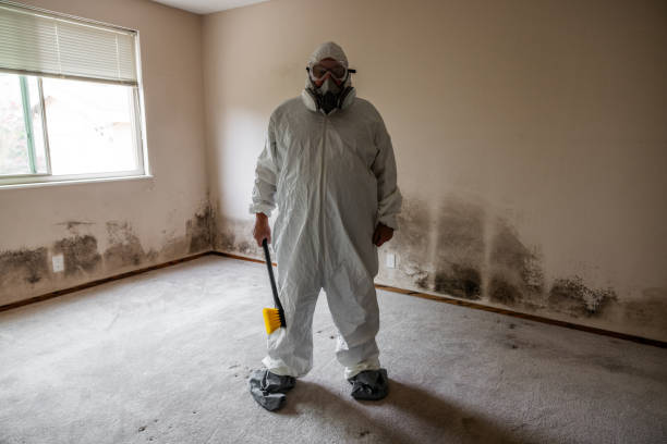 Hillsdale, MI Mold Removal Company